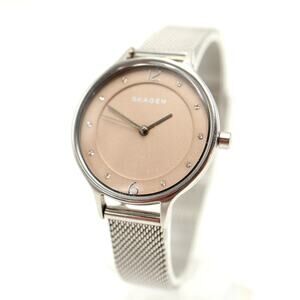 Skagen Anita Champagne Diamond 30mm Watch Silver Tone Metal Mesh w New Battery